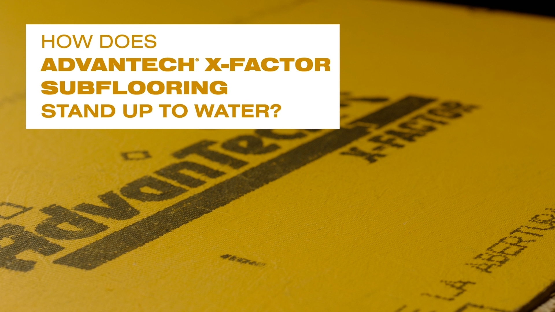 AdvanTech X-Factor Exposure Test